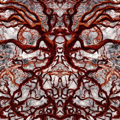 Suat Sensoy - Trees– Rorschach III