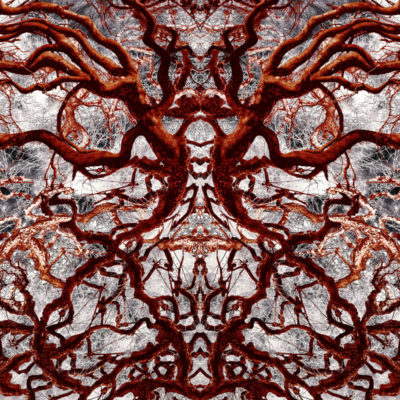 Suat Sensoy - Trees– Rorschach III