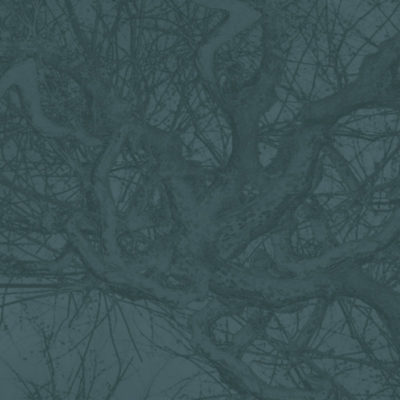 Suat Sensoy - Trees– artifact IV